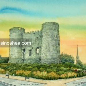 Carlow Castle, Co. Carlow