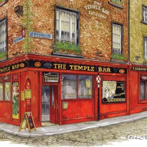 Temple Bar Pub, Temple Bar, Dublin