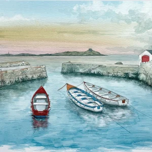 Coliemore Harbour,  Co. Dublin