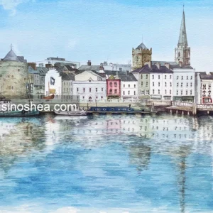 The Quays, Waterford City