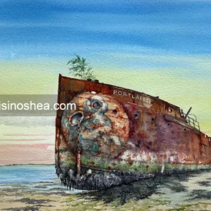 SS Port Lairge, Co. Wexford