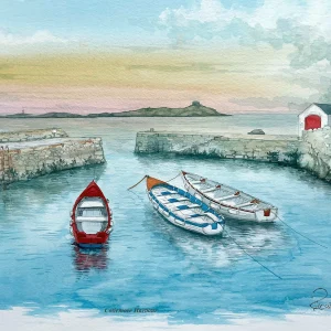 Coliemore Harbour, Dalkey, Co. Dublin © 2024