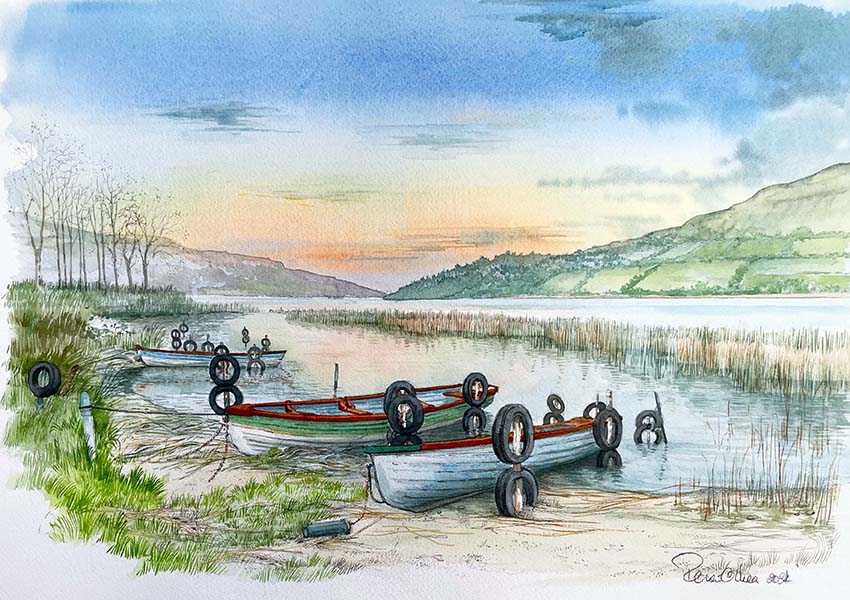 Roisin O'Shea - Commissions