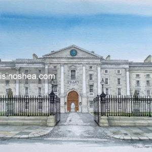Trinity College, Dublin City, Co. Dublin © 2024