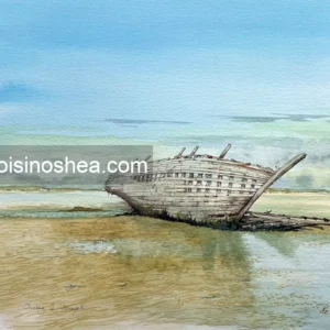 Báid Eddie, Magheraclogher beach, Gweedore, Co. Donegal © 2024