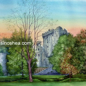 Blarney Castle, Co. Cork